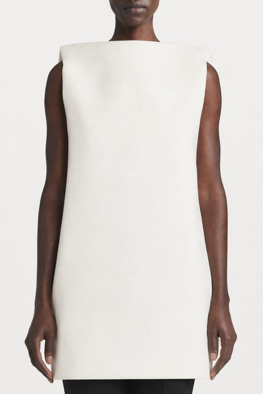 Balenciaga Vareuse Dress