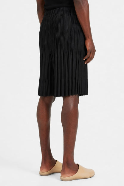 Homme Plissé Issey Miyake June Monthly Colors Shorts back