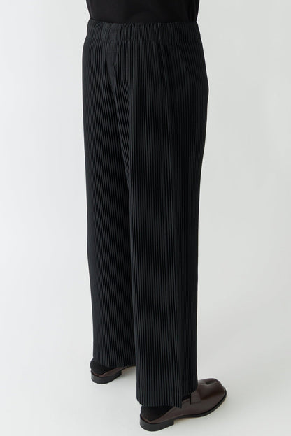 Homme Plissé Issey Miyake Monthly Colors Trousers In Black FW25 back