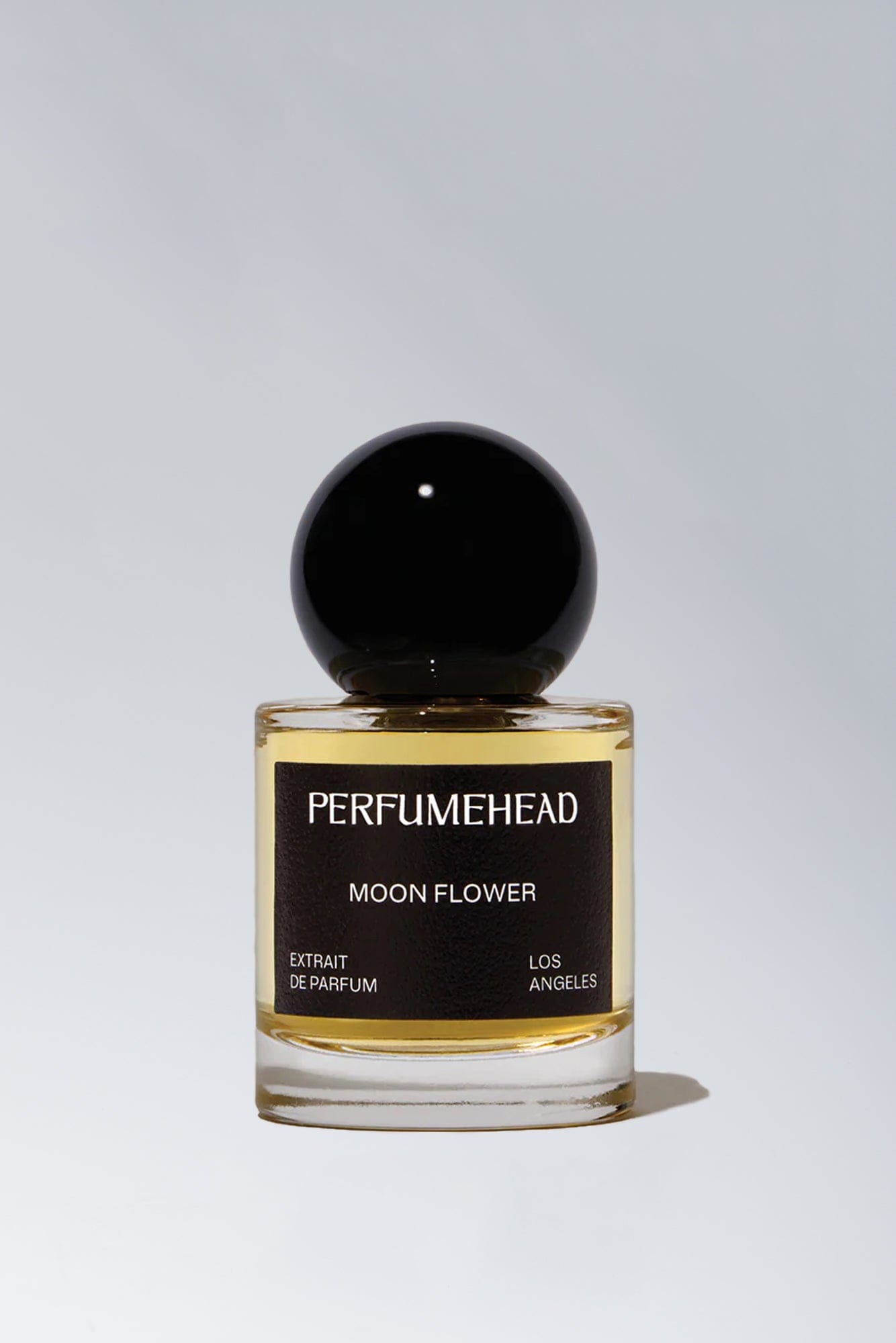 Perfumehead Moon Flower